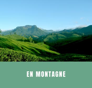 Lien vers les centres ayurvédiques en montagne sélectionnés par l’agence de voyage Le Monde en Rendez-Vous