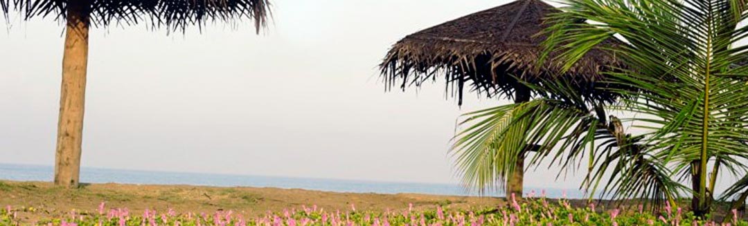 Bannière de haut de page pour présenter le centre ayurvédique éco-tourisme et plage sauvage en bord de mer sélectionné par Ayurveda en Inde