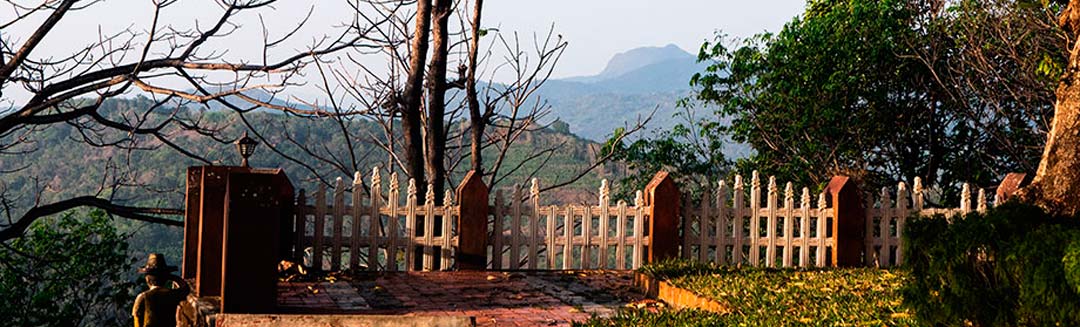 Bannière de haut de page pour présenter le centre ayurvédique maison d'hôte dans les plantations en montagne sélectionné par Ayurveda en Inde